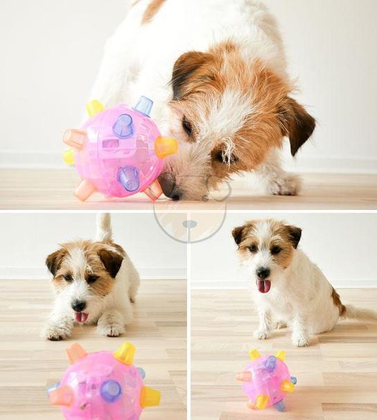 Bounce & Glow Dog Toy – Chew-Safe, Motion-Activated Fun for Mental Stimulation